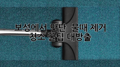 보성에서 만난 ✨ 물때 제거 ✨ 청소 꿀팁 대방출! 🧽