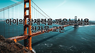 아이의 잠재력을 깨우는 실용 천자문 교본