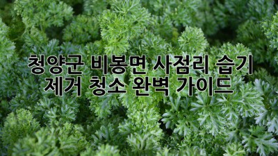 청양군 비봉면 사점리 습기 제거 청소 완벽 가이드